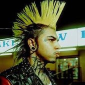 WTF ST!NK Tik-tok profile pic 2024