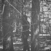 0027270368_10.jpg