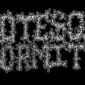 Adam Rotella gorenoise project