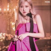 rosé