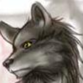 ANightWolf 的头像