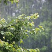 f5601854327359a66d92644365500cb3--rain-shower-rainy-mood.jpg