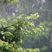 f5601854327359a66d92644365500cb3--rain-shower-rainy-mood.jpg
