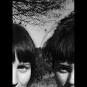 Audio Fauna