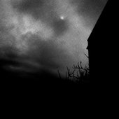 Vapour Night