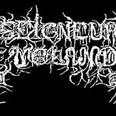 2246_logo.jpg