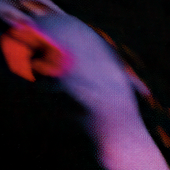 Ever Clean Swe.png