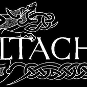 Avatar for celtachor