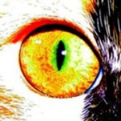 LastFM profile picture for @Praise