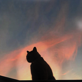 Avatar di AbyssIsNear