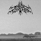 Ukrainian Morning Misanthropy