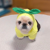 jujudyy 的头像