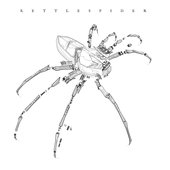 Kettlespider