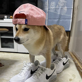 quackatak 的头像