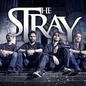 The Stray