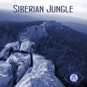 Tunguska Electronic Music Society - Siberian Jungle Vol.2