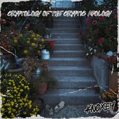 Cryptology of the Cryptic Apology