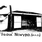 'Sgidia' Newydd