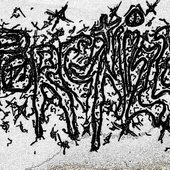 Porcinized logo