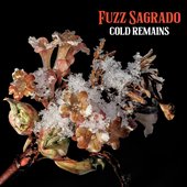 Cold Remains