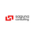 Avatar for sagunaconsultin