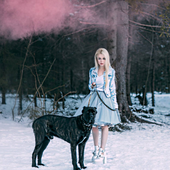 Собака Pink.png