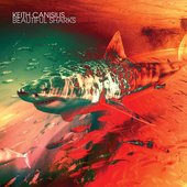 Beautiful Sharks (Alternate Version)