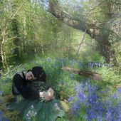Tales of Faebles wood