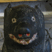 Avatar for megede