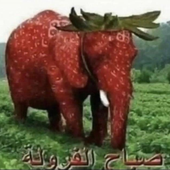 Redvalanche için avatar