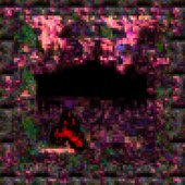 Root