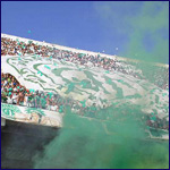 Avatar for AlanPivetti