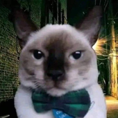 Avatar for kalepickle