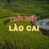 Avatar for thoitietlaocai