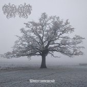 Winterzonnewende