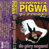 Do góry nogami