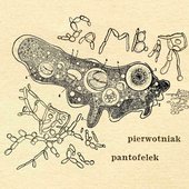 Pierwotniak pantofelek