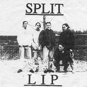 split lip