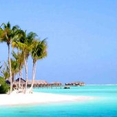 WATERFRONT HAWAII