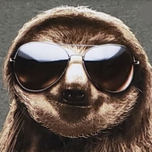 foureyedsloth 的头像