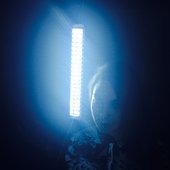 10930911_836501203039158_8058918769411635389_o.jpg