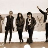 squareheads4-250x162.jpg