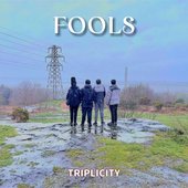 Fools (Demo Mix) - Single