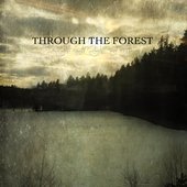 Through The Forest