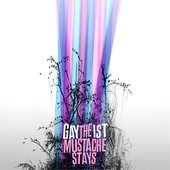 The Mustache Stays (LP retail version)