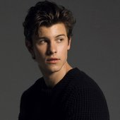 Shawn Mendes