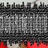 Intestinal Polluted Worms Eating Appendix And Transformated In Putrid Fecal Masses Into The Purulent Anal logo