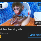 Illiterate_rat 的头像