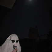 lupusestsola 的头像