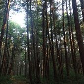0004061803_10.jpg
